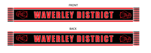 WDNA Scarf
